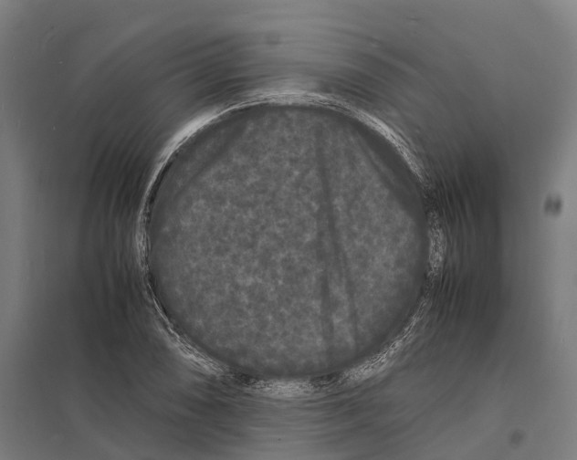 X0000097621074200803281031