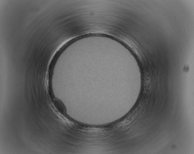 X0000097621076200803281031