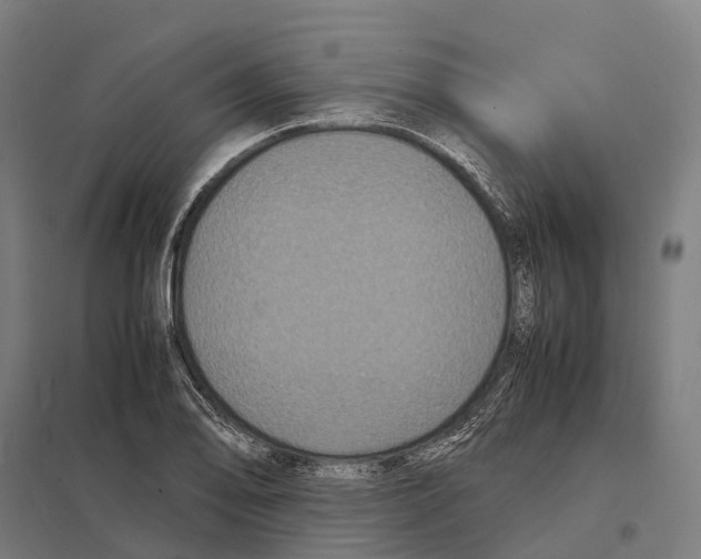 X0000097621078200803281031