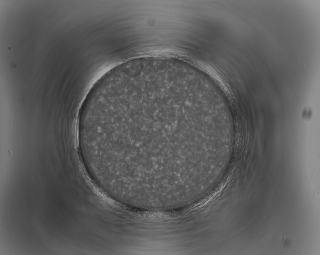 X0000097621079200803281031