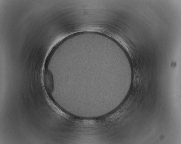 X0000097621080200803281031