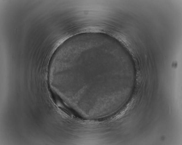 X0000097621081200803281031