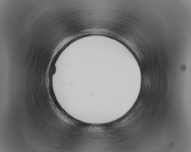 X0000097621082200803281031