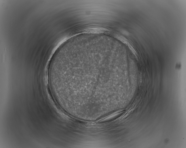 X0000097621083200803281031