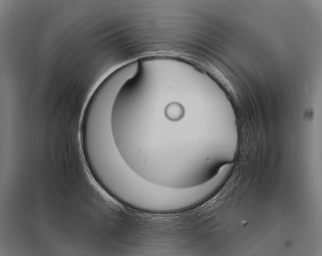 X0000097621084200803281031