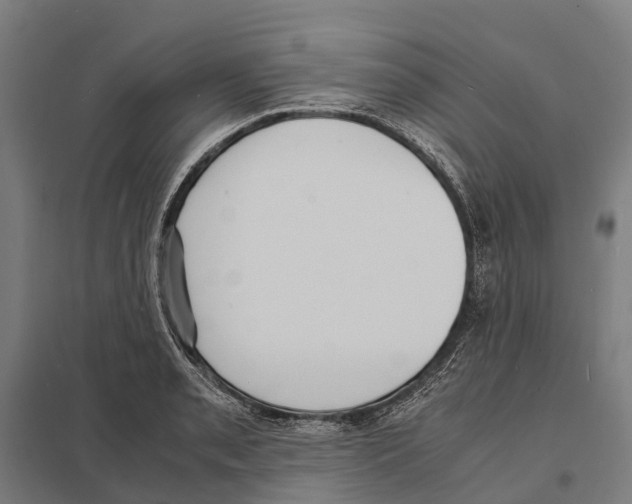 X0000097621085200803281031