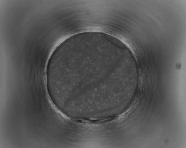 X0000097621088200803281031