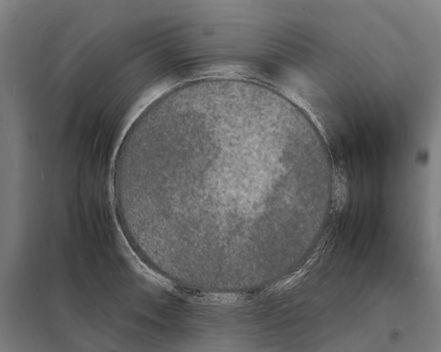 X0000097621090200803281031