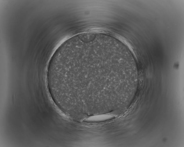 X0000097621091200803281031
