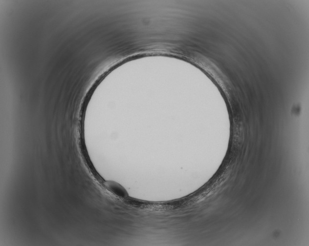 X0000097621093200803281031