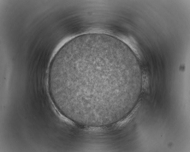 X0000097621094200803281031