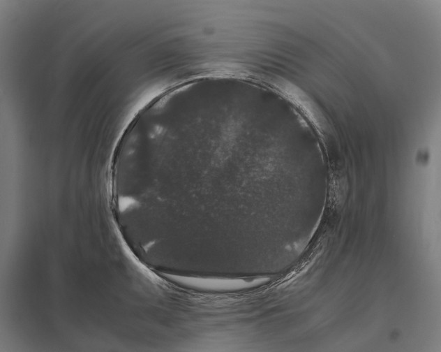 X0000097621095200803281031