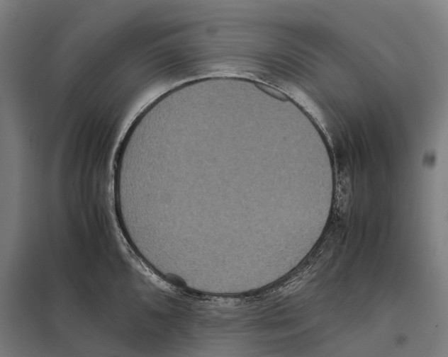 X0000097621096200803281031
