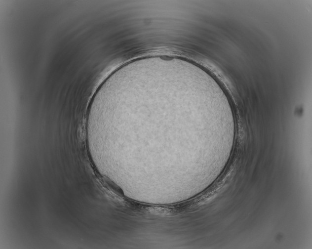 X0000097621097200803281031