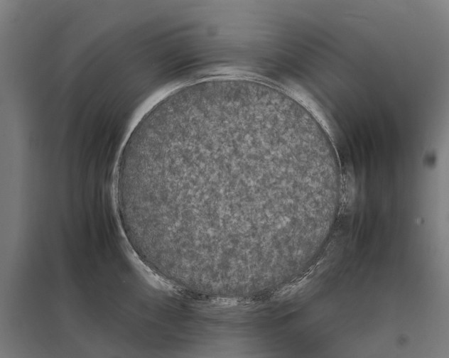 X0000097621098200803281031