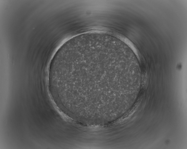 X0000097621099200803281031