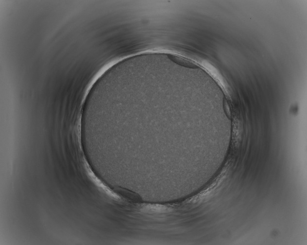 X0000097621100200803281031