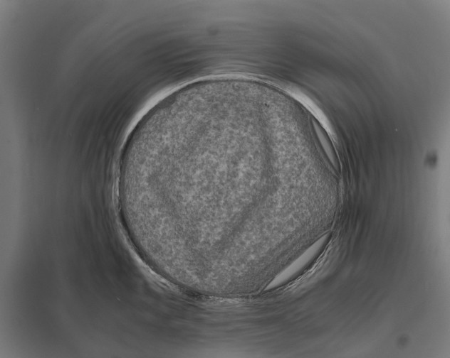 X0000097621101200803281031