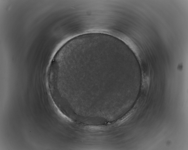 X0000097621102200803281031