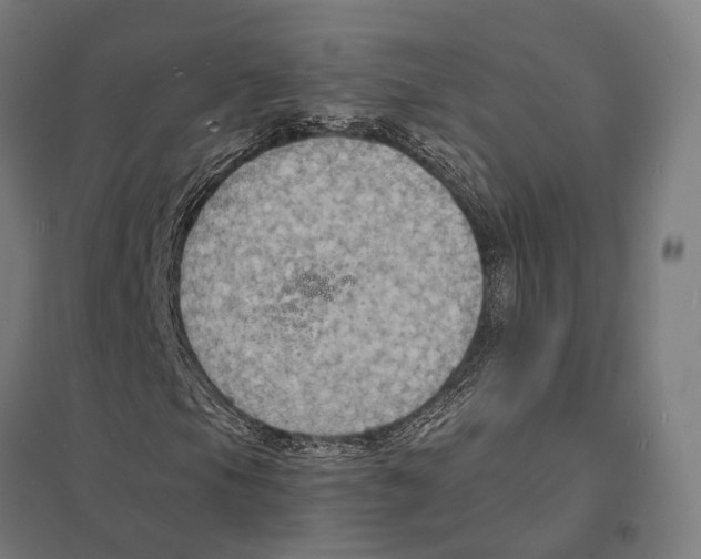 X0000097621105200803281030