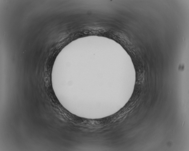 X0000097621109200803281030