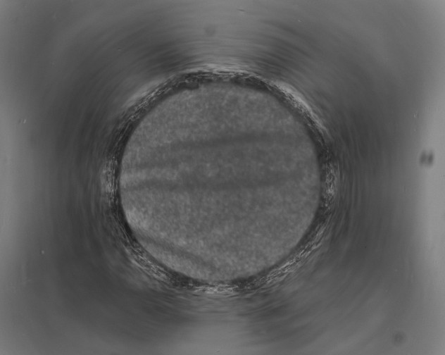 X0000097621110200803281030