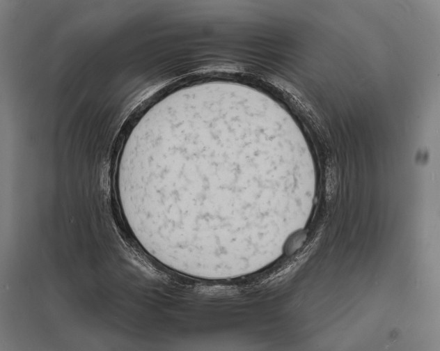 X0000097621113200803281030
