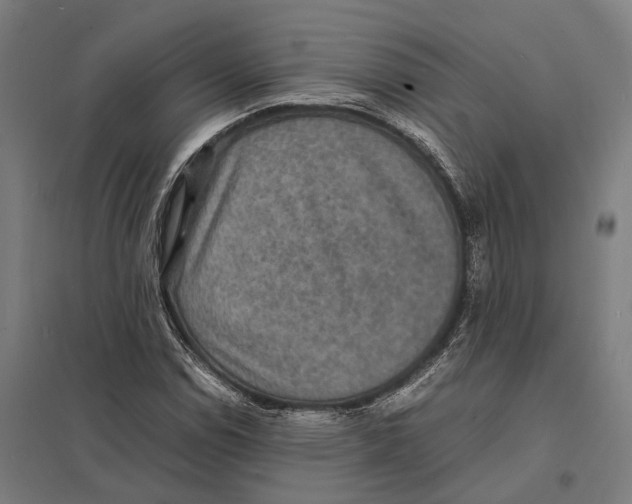 X0000097621114200803281030
