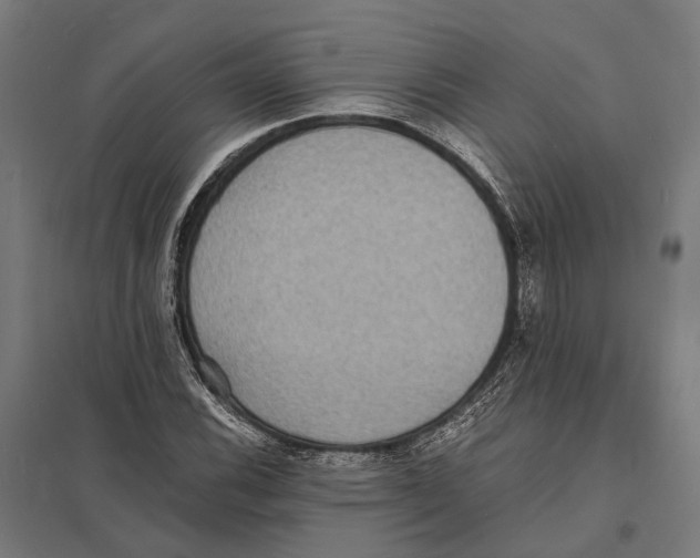 X0000097621116200803281030