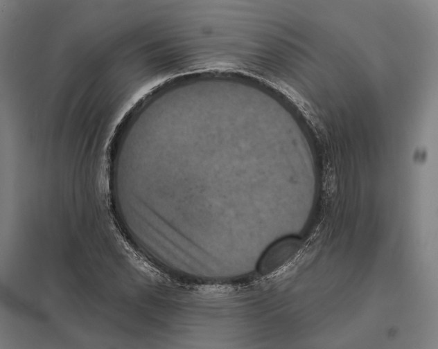 X0000097621118200803281030