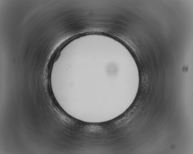 X0000097621119200803281030