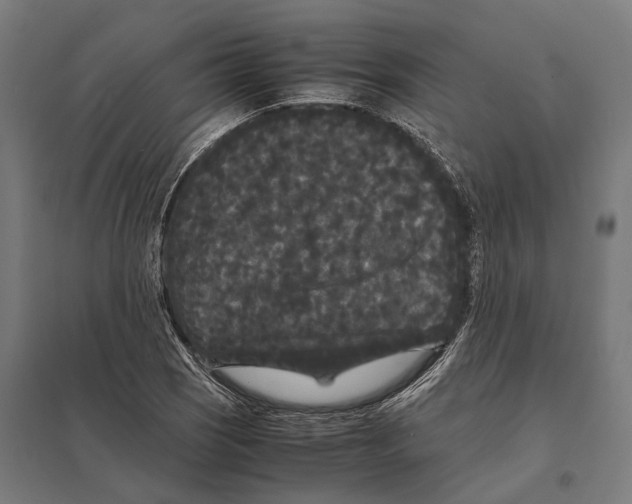 X0000097621121200803281030