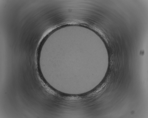 X0000097621122200803281030