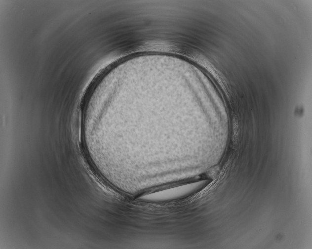 X0000097621123200803281030