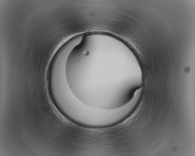 X0000097621126200803281030