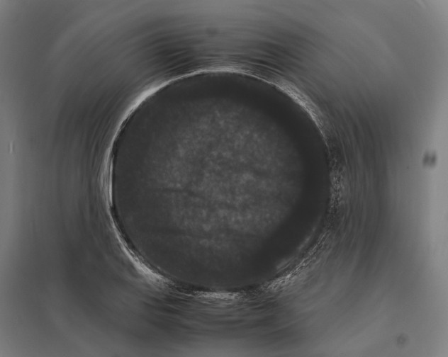 X0000097621127200803281030