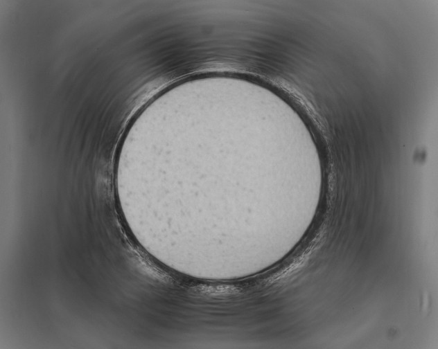 X0000097621129200803281030