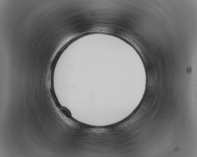 X0000097621131200803281030