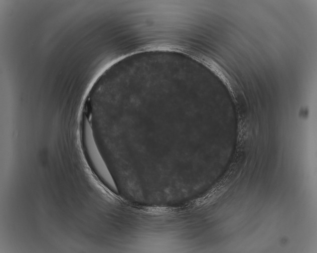 X0000097621132200803281030