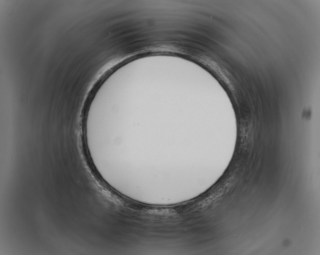 X0000097621133200803281030