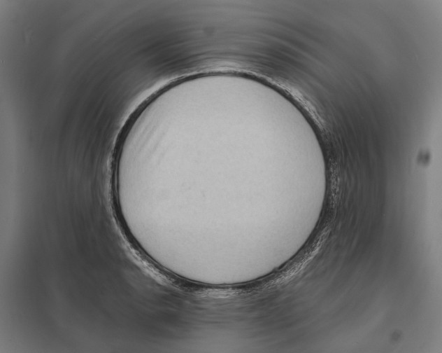 X0000097621134200803281030