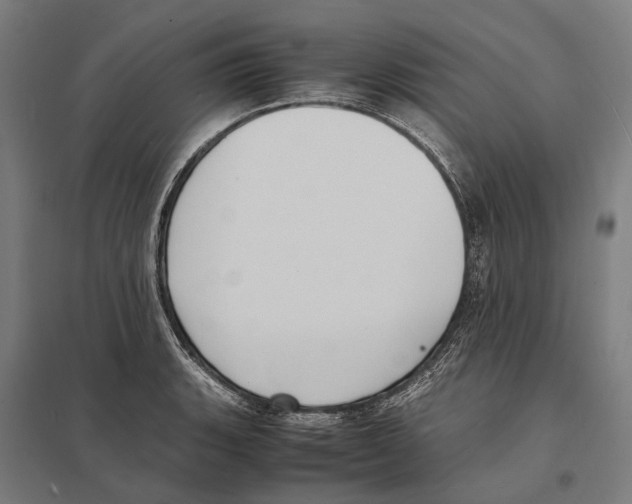 X0000097621135200803281030