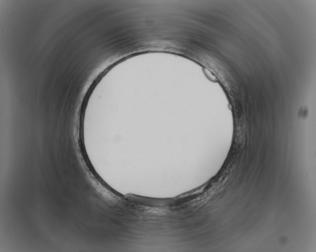 X0000097621136200803281030