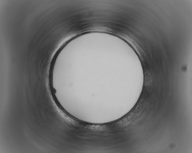 X0000097621139200803281030