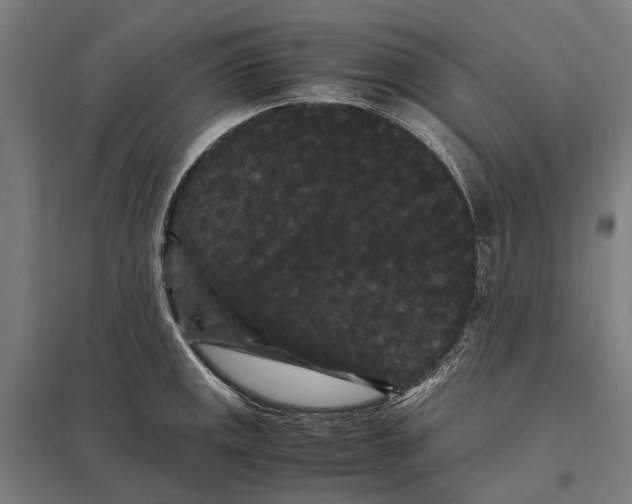 X0000097621141200803281030