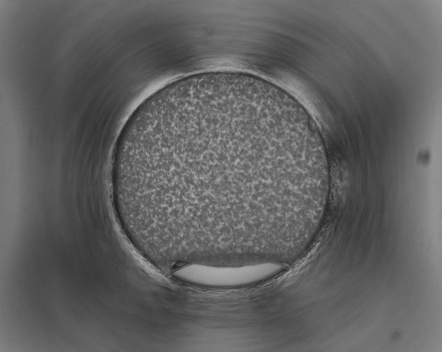 X0000097621142200803281030