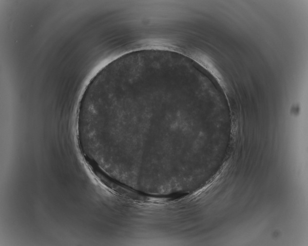 X0000097621144200803281031