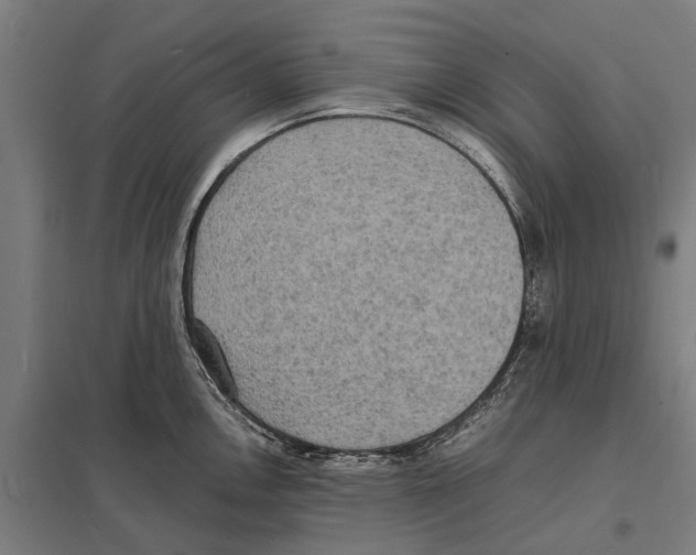 X0000097621146200803281031