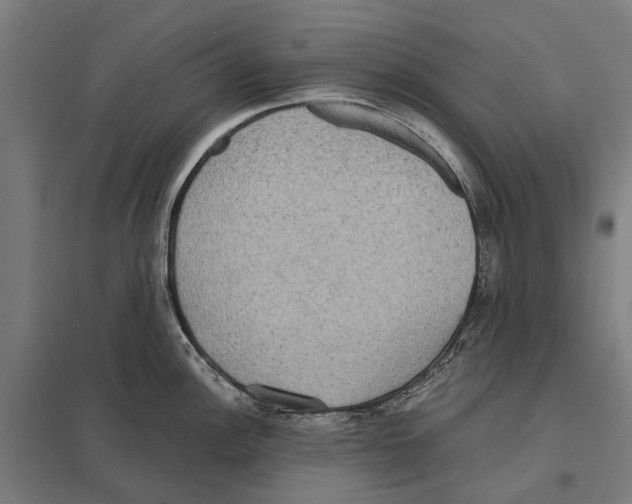 X0000097621148200803281031
