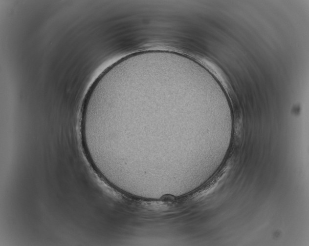 X0000097621149200803281031